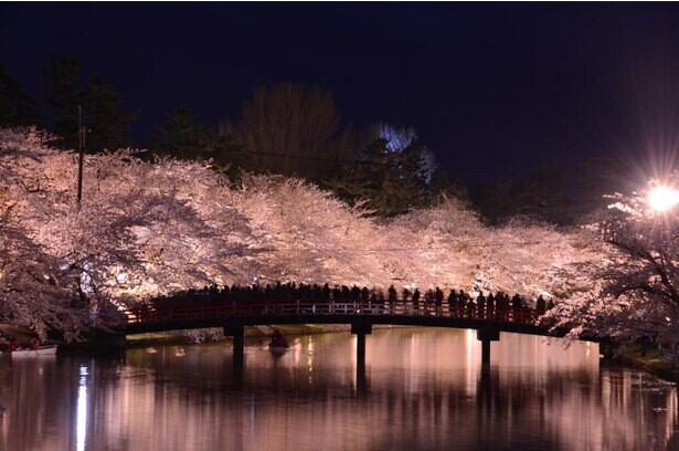 日本3大夜桜に数えられる絶景！青森県弘前市で「2021年弘前さくらまつり」が開催