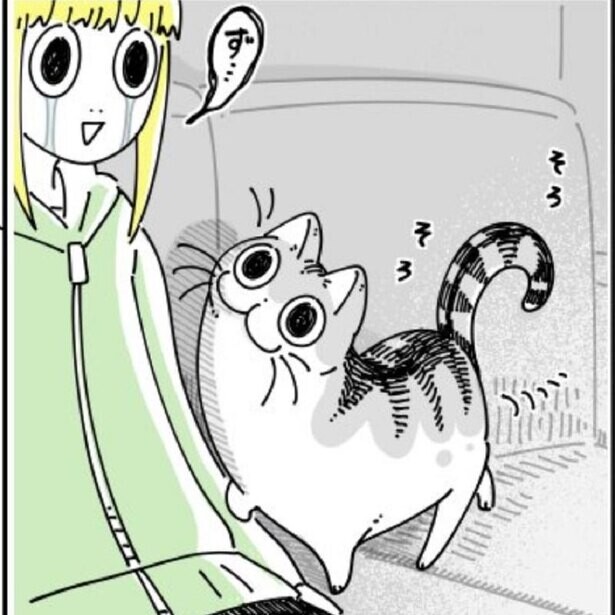 「うれしいけど今じゃない…？」愛猫との暮らしを描いた漫画が話題、「猫は飼い主が泣くと慰めにくる」など共感の声溢れる