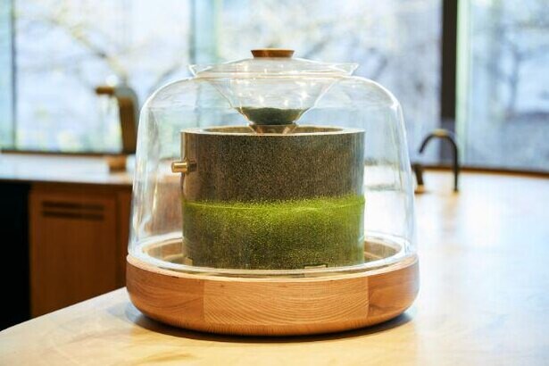スターバックス「ロースタリー 東京」で“石臼抹茶”のティーラテが誕生！