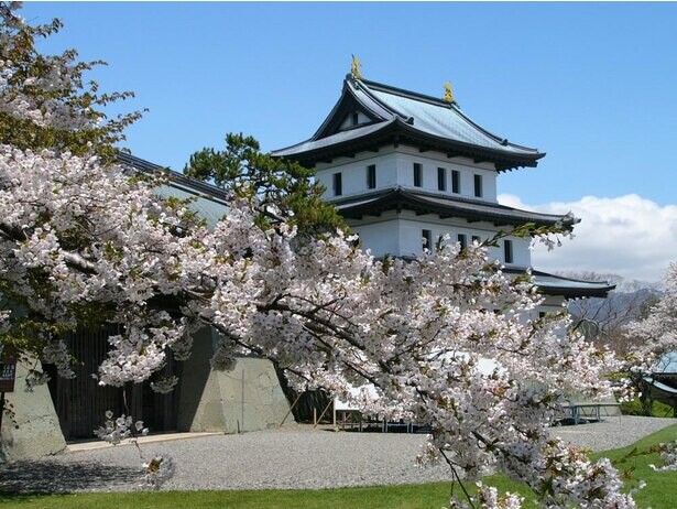 3本の名木が見られる桜の名所、北海道松前町の松前公園の桜の見頃はいつ？