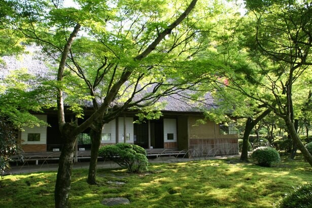 新緑につつまれたひと時を堪能、佐賀県神埼市で「九年庵春の一般公開」が3日間限定開催