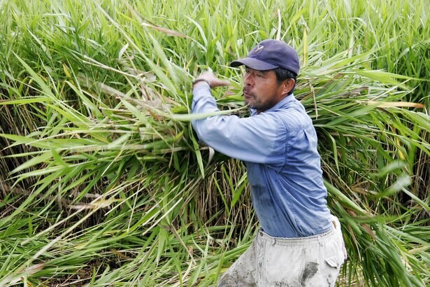 中田英寿がシェアしたい“日本の新たな価値”「スローフードの第一人者、葦農・武富勝彦さん」