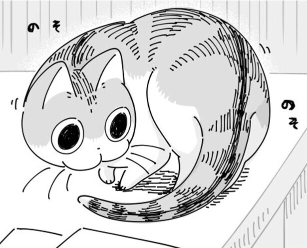 「クルクル回って座るネコ」の“謎行動”に胸キュン　愛猫の“あるある”を描いた漫画が話題