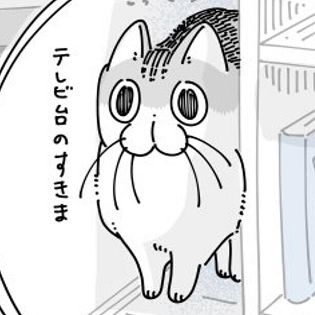【漫画】「愛猫が脱走…!?」かくれんぼ中のネコちゃんに振り回される飼い主と、まさかの結末に「そこかい！」の声