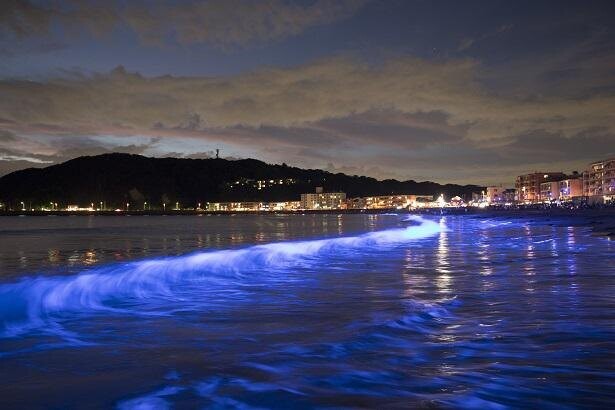 波に合わせて変わる煌めきに感動！「NIGHT WAVE 海のイルミネーション」が茨城県大洗で開催
