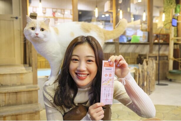 NMB48・南羽諒が“ネコ様”にメロメロ！イグアナやブタ、カピバラと友達になれる大阪の動物カフェに潜入