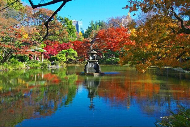 今週末(11月27・28日)の紅葉見頃はここ！東日本・西日本の見頃紅葉名所ガイド