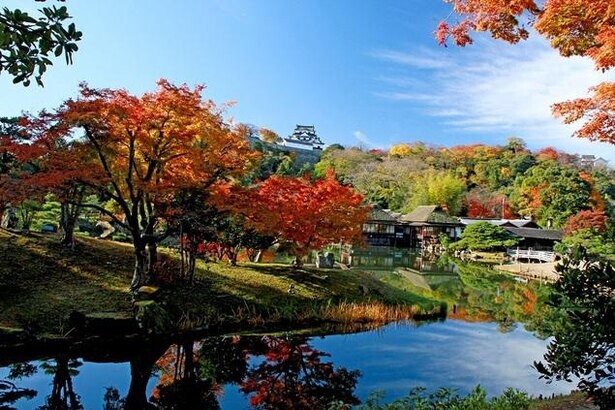 国宝彦根城・名勝玄宮楽々園の紅葉が見頃！名園の池に映える紅葉は絶景