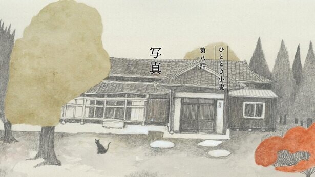 30秒で心が温まる「ひととき小説」第8話は『ピンポン』の松本大洋氏が作画を担当！JT公式サイトで公開中