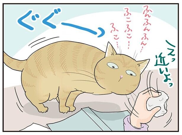 【漫画】「ぎゅいーん」猫の体は軟体？液体？飼い主なら一度は目を見張る…「猫、長いっ!!!」