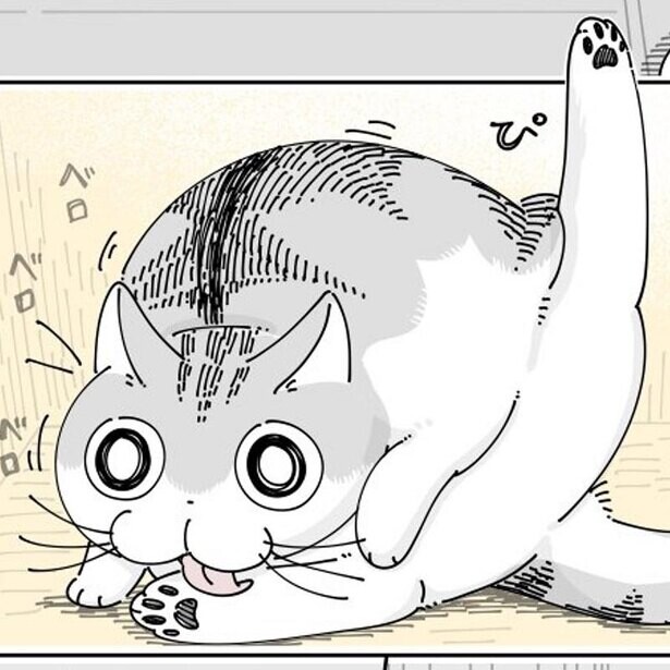 【漫画】箱の中の猫にいたずらしたら…強烈な猫パンチ？それともペロペロ？その後の展開は猫様のご機嫌次第