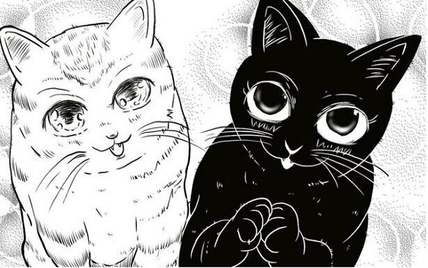【猫の日】猫は人間に魔法をかけている!?「私もかかってるかも？」猫が使う魔法を描いた漫画に妙に納得！