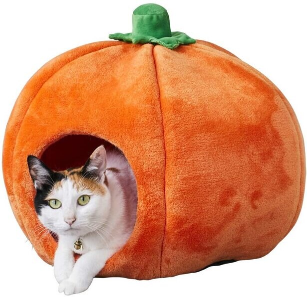 2022年2月22日はスーパー猫の日！愛猫に買ってあげたい…猫ベットがAmazonセールでお買い得