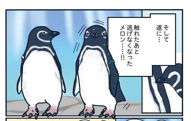【漫画】恋愛に超奥手なペンギンの2年間に及ぶ片想いの結末は!?