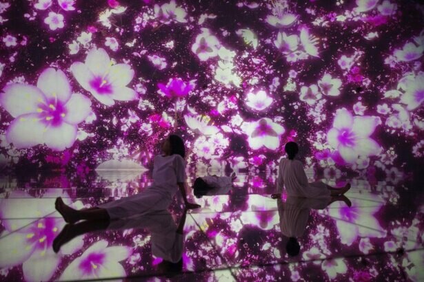 「チームラボプラネッツ」が桜の空間に！1万3000株を超えるランの庭園には“春咲きラン”が登場