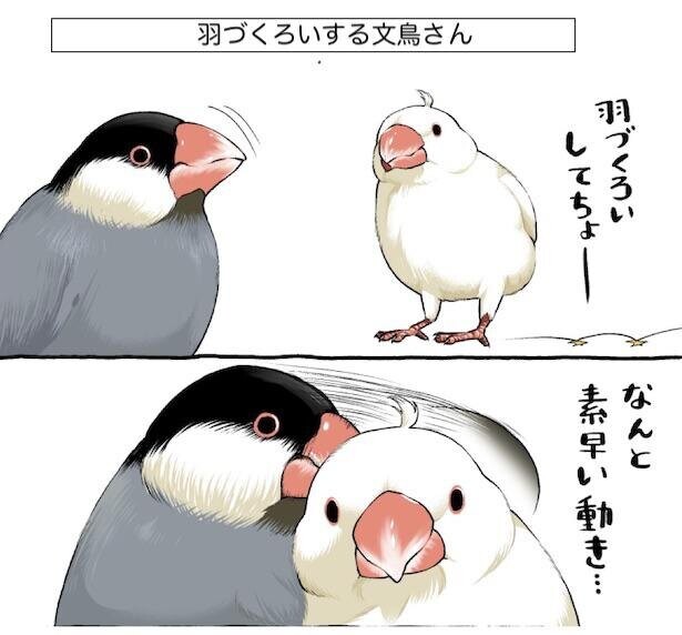 【漫画】鳥だけにトンデモ伝説が今、始まる。純度100%で贈るバードライフに「何コレ可愛い！」のコメント続々！