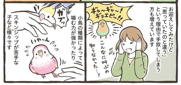 【漫画】小鳥を飼う前に知ってほしいこととは？叫ぶし噛む、だけど心を持っている／トリ扱い説明書