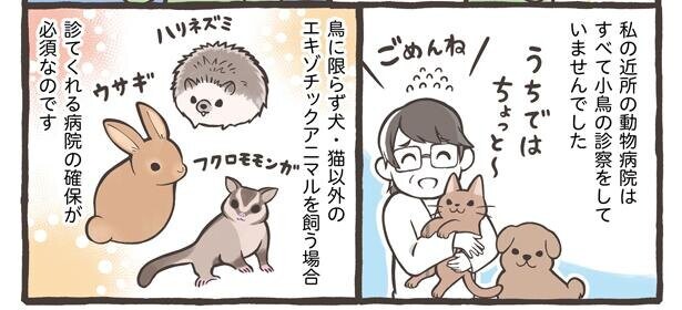 貧乏人はペットを飼うな 獣医 人気