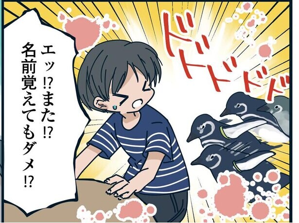 【漫画】ぬいぐるみで練習⁉新人の奮闘記録！水族館で働く飼育員にとって大切なこととは？