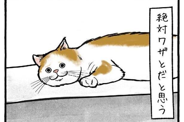 コンクリートに猫の足跡。絶対わざとだ...！大阪の工務店が描くほのぼの日常漫画が話題
