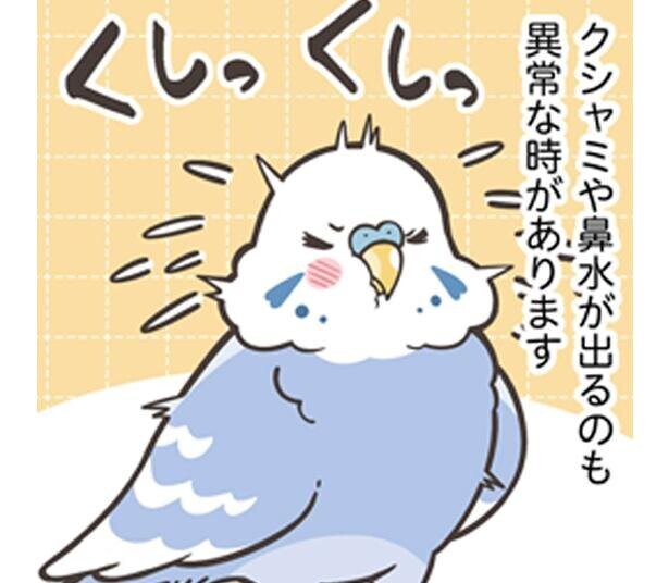 【漫画】エサを吐き散らかしてない？声がかすれてない？鳥さんの「病気のサイン」を紹介／トリ扱い説明書