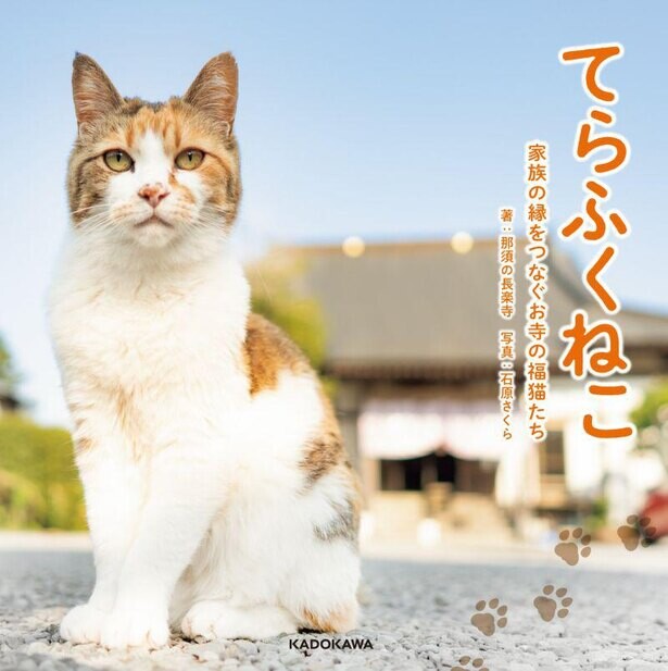 SNSで大人気「那須の長楽寺」の猫写真集第2弾が登場！住職＆おかみに見どころを聞いた