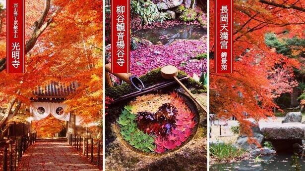 秋爛漫の京都へGO！紅葉めぐりの穴場スポット＆限定御朱印を紹介！