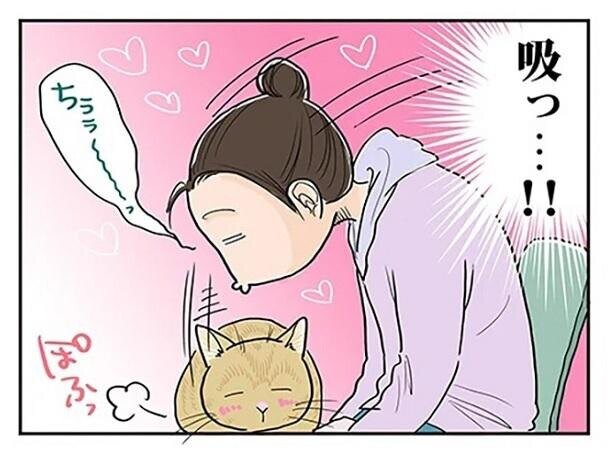 「隙あらば吸いたい！」チャンス到来と思いきや至福の猫吸いタイムはお預け!?その理由とは…？