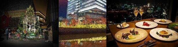 イルミネーションやツリーが街を華やかに彩る！東京ガーデンテラス紀尾井町で「KIOI WINTER 2022-2023」が開催