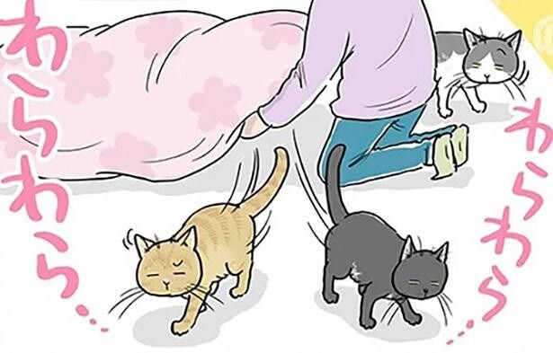 【漫画】外は大寒波で気温は氷点下…お湯も出ない大ピンチ!?寒がる猫たちが家の中で好む場所とは？