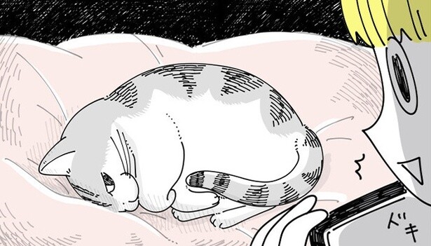 【ネコ漫画】スマホで猫が寝ている姿を撮影する飼い主!!近づいて見ると実は起きている猫の姿に「ウチの猫もそうです」と共感続々