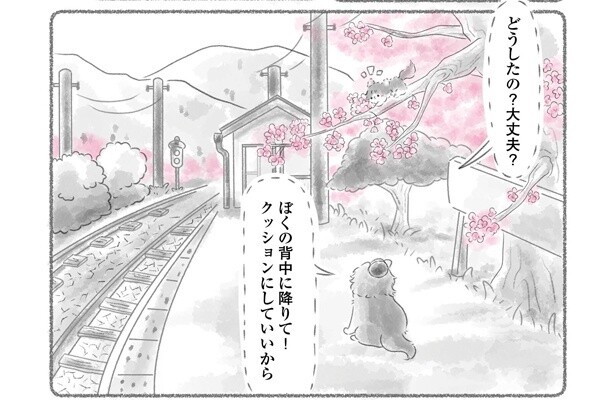 満開の桜のなか初対面した兄妹。映画化された情報番組の人気コーナー「にゃん旅鉄道」が今度は漫画に！【作者に聞く】