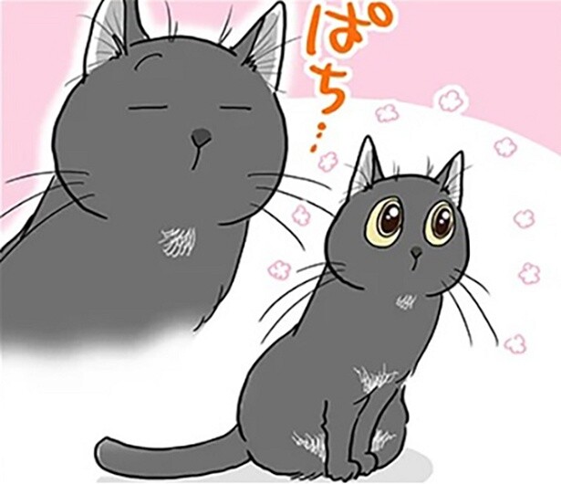 【漫画】「愛が通じた!!」と思いきや…猫との“瞬きコミュニケーション”の想定外の結末とは？