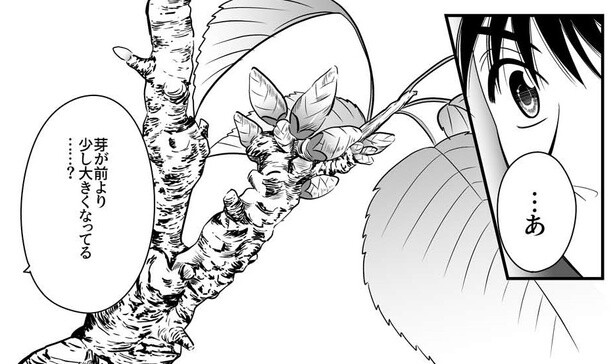 【漫画】旧友が預けた「桜の盆栽」、託した真相に涙…。鬱屈した日々が盆栽で変わる「さくらの咲くころ」が胸に響く
