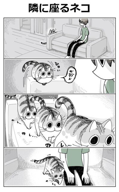 【ネコ漫画】「隣に座るネコ」／キュルZ(@kyuryuZ)