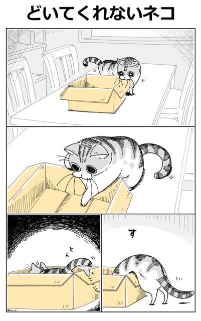 【猫漫画】「どいてくれないネコ」／キュルZ