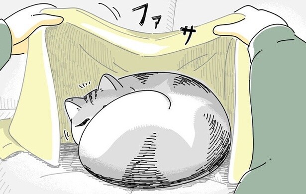 【ネコ漫画】うずくまる猫に布団をかけると何故か嫌がられる!?自ら布団に潜る猫の姿に「分かります」と共感の声続出!!