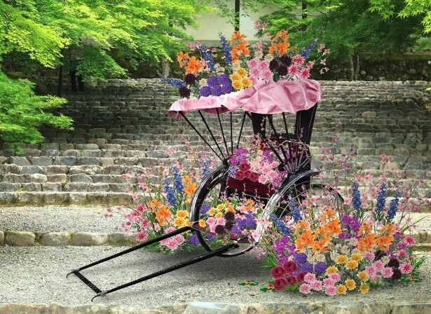 「花咲く人力車」や豪華絢爛な「花の間」も登場！JR東海の観光キャンペーンで花彩る京都の旅を満喫