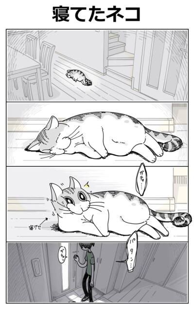 【愛猫漫画】寝起きなのバレてるよ…！「寝てたネコ」に共感しかない／キュルZ