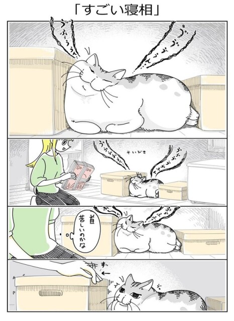 【ネコ漫画】「すごい寝相」／キュルZ
