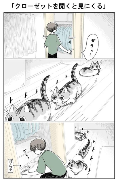 【猫漫画】「クローゼットを開くと見に来る」／キュルZ