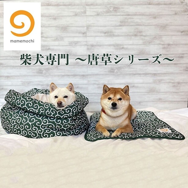 柴犬のためのグッズを展開する新ブランド「mamemochi」から、唐草模様のラウンドベッドとブランケットが発売決定