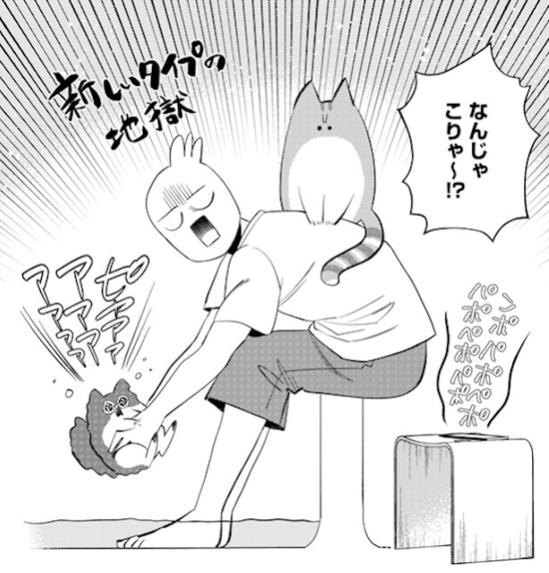 保護猫の初お風呂は!?爪が食い込み!!さらに背中にもう1匹が…新しいタイプの地獄もなんか幸せ～！な猫日記【作者に聞く】