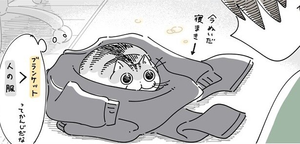 【ネコ漫画】実は飼い主の服が大好き!?ブランケットを使わない猫の姿に「うちの猫も一緒です」と共感の声続出