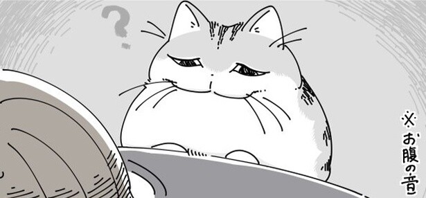 【ネコ漫画】飼い主のお腹の音が気になる猫!?不思議そうにする猫の姿に「うちの猫もそうです」と共感の声続々