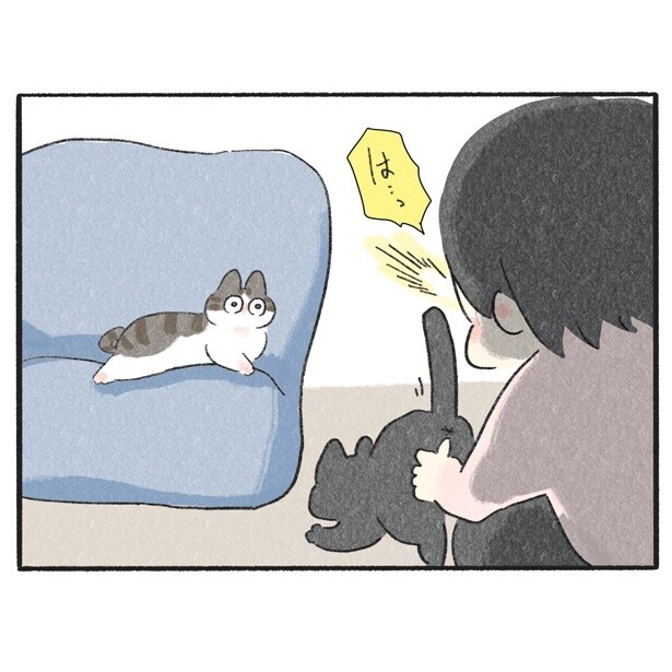【ネコ漫画】撫でまわされる兄を見つめる弟。天使すぎる反応に思わずキュン！【作者に聞く】