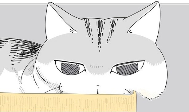 【ネコ漫画】愛猫に癒やされる飼い主!?頬っぺたが垂れるかわいらしい姿に「分かります」と共感の声多数