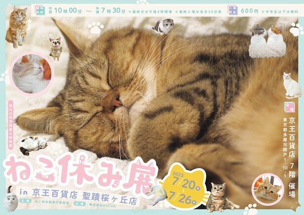 大人気イベント「ねこ休み展」多摩に初上陸！スター猫写真＆癒やしの猫グッズが大集合