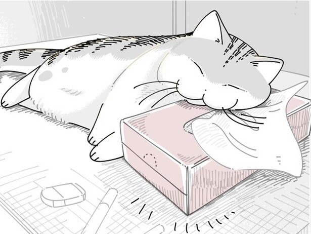 【ネコ漫画】ティッシュ箱を枕に堂々と寝る猫!?気持ちよさそうな姿に「あるある」と共感の声多数