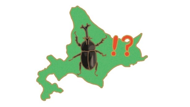 昆虫ハンター・牧田習が解説するオドロキの昆虫雑学！カブトムシは北海道では外来種